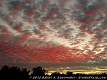 19: Al Sanowskis-ColorA-Red Sky at Night Sailor's Delight