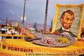 Rose Bowl Floats 1959