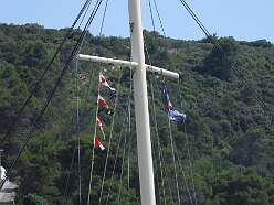 45: DSCN4873