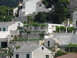48: DSCN4876