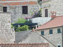 55: DSCN4885