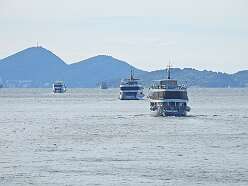 4: DSCN5439