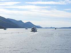 6: DSCN5441