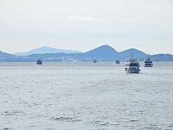 7: DSCN5442