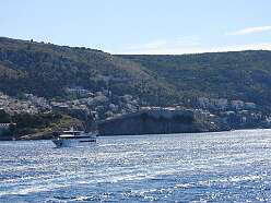 19: DSCN5460