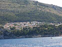 20: DSCN5461