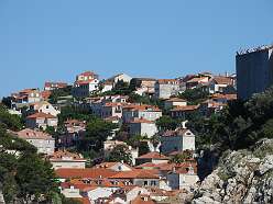 36: DSCN5487