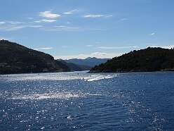 41: DSCN5492