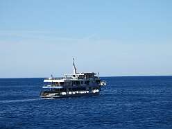 42: DSCN5494