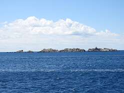 51: DSCN5508