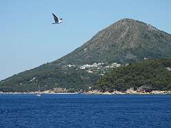 61: DSCN5520