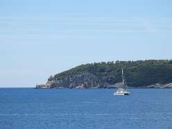 83: DSCN5550