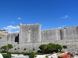 110: DSCN5588