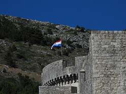 117: DSCN5596