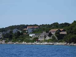 5: DSCN5045