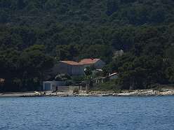 6: DSCN5046