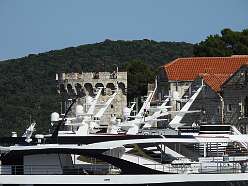 61: DSCN5132