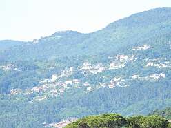29: DSCN4626