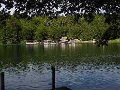 47: DSCN4658