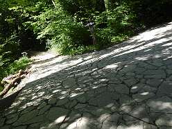 49: DSCN4661