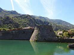1: DSCN5600