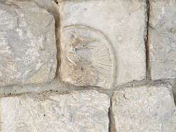 12: DSCN5613