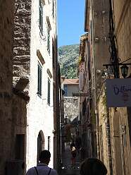 42: DSCN5646