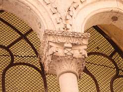 48: DSCN5652