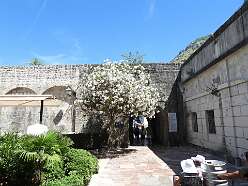 80: DSCN5684