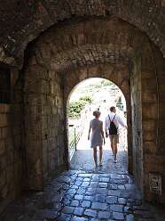 81: DSCN5685