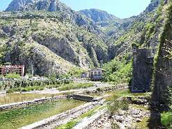 82: DSCN5686