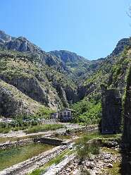 84: DSCN5688