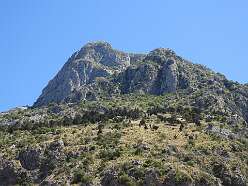 86: DSCN5690