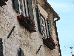 98: DSCN5703