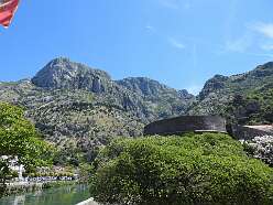 120: DSCN5732