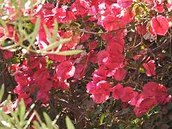 196: DSCN5845