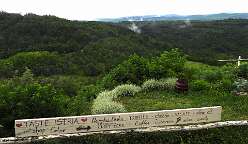 79: DSCN4523