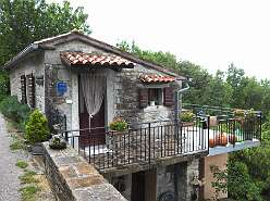 81: DSCN4529