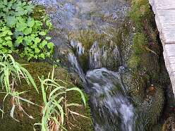 9: DSCN4688
