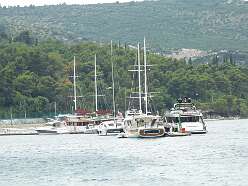 81: DSCN5269