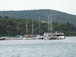 85: DSCN5273