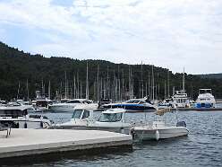 99: DSCN5287
