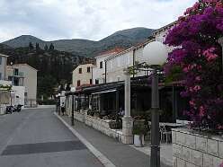 108: DSCN5298