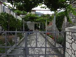 113: DSCN5304