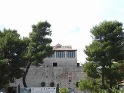 120: DSCN5311
