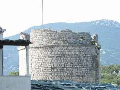 122: DSCN5313