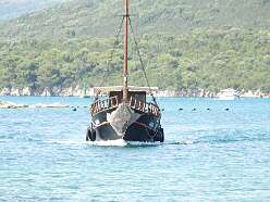 123: DSCN5314