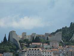 156: DSCN5355