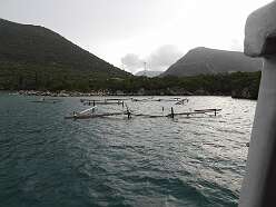 187: DSCN5395