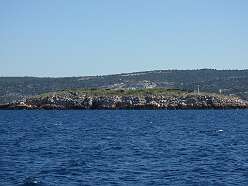 3: DSCN4721